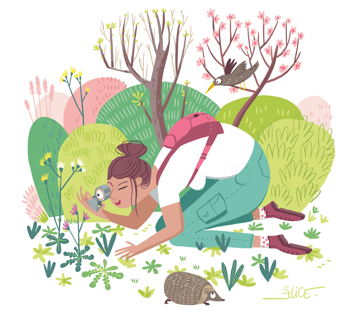 illustration vectorielle d'une femme regardant des plantes sauvages dans une loupe de botaniste