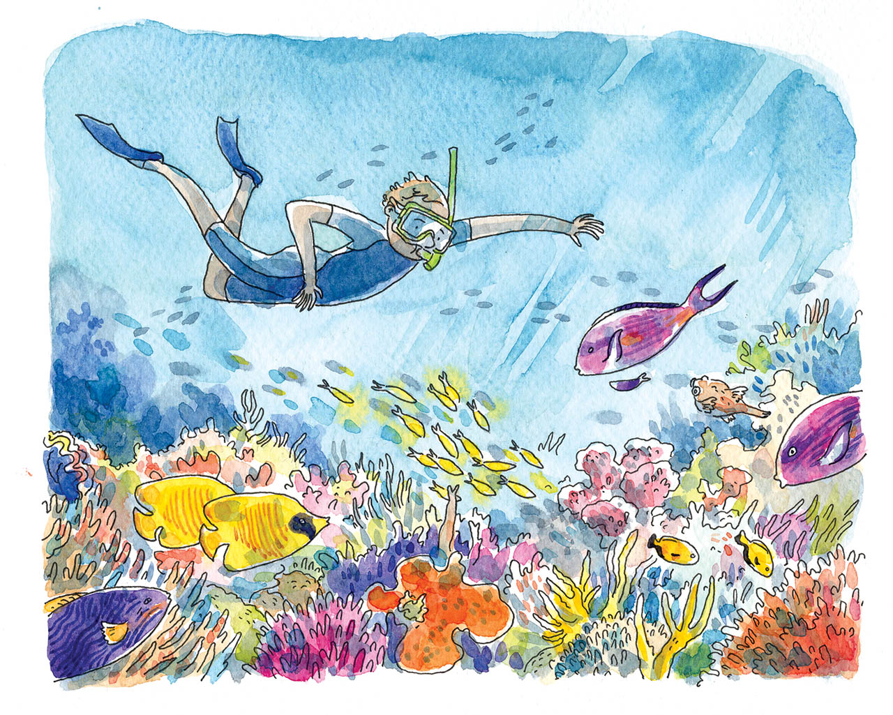 dessin à l'aquarelle issu d'un carnet de voyage en Australie représentant un enfant qui fait de la plongée sous-marine avec masque et tuba dans un récif corallien, avec coraux et poissons colorés