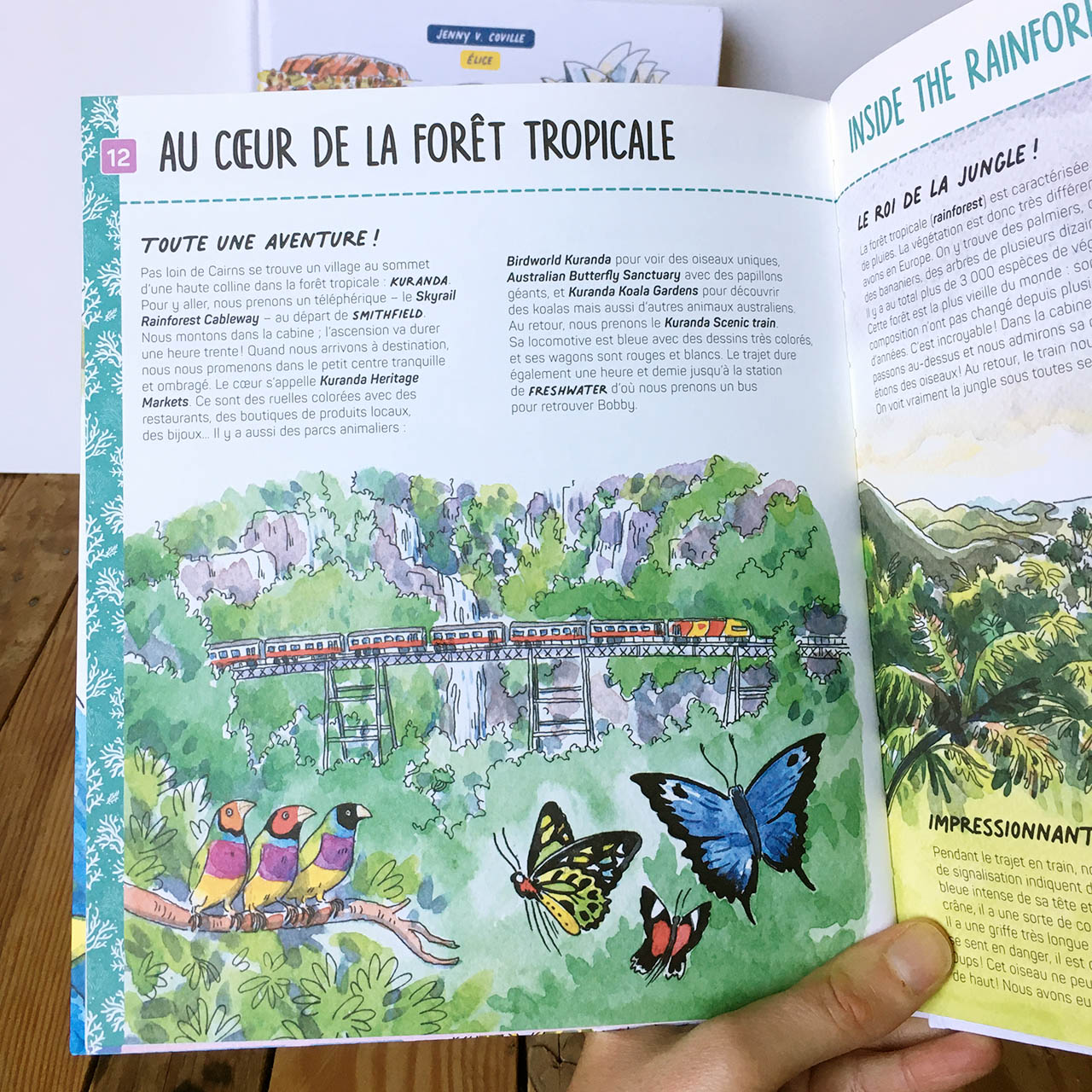 page du livre bienvenue en Australie montrant une illustration de la forpet tropicale avec des oiseaux et papillon colorés, et le train rouge de Cairns en arrière plan