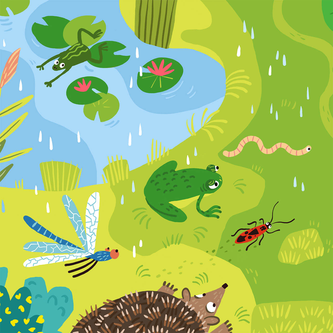 illustration en aplat numérique représentant une mare avec des nénuphars et des grenouilles, un ver de terre, un gendarme, un hérisson et une libellule. Il pleut.