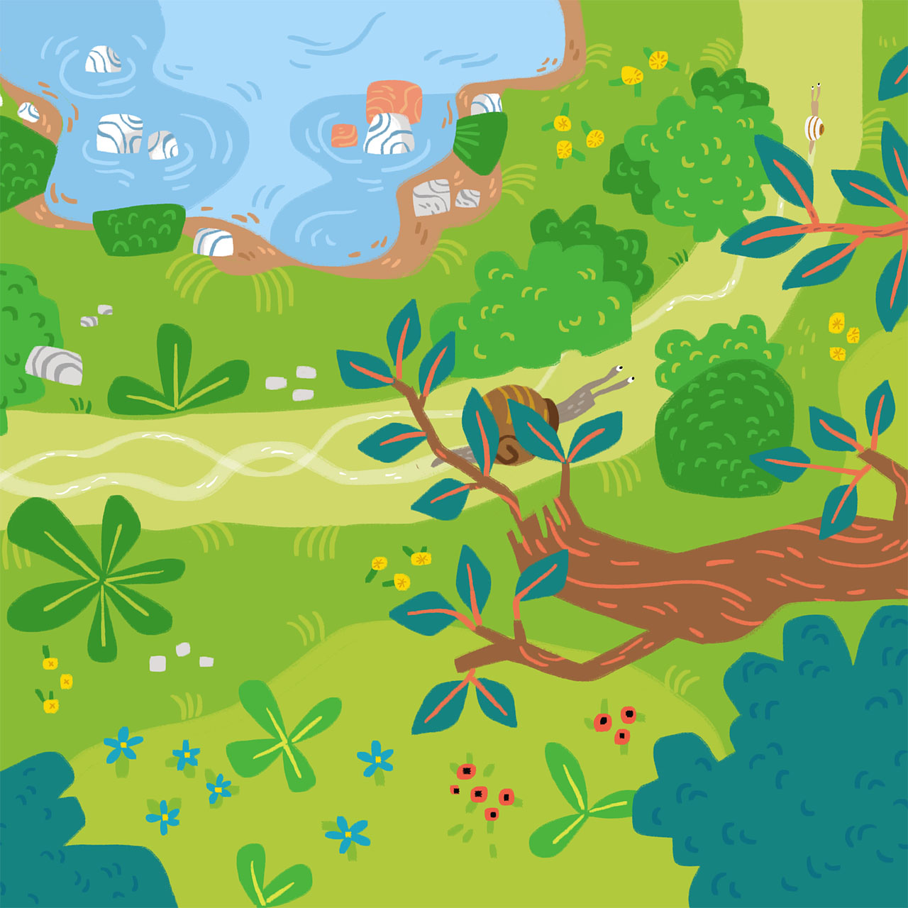 illustration en aplat numérique dans des couleurs vive montrant une scène dans une clairière vue de haut avec une mare, des buissons, et des arbres entre lesquels on aperçoit des escargots qui font la course
